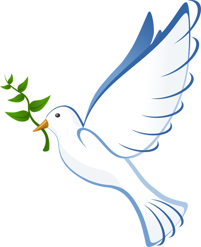 Dove 41260 1280